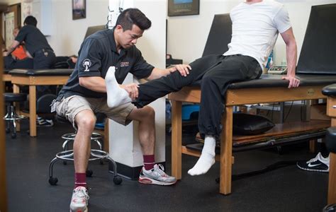 What Can You Do with a Masters in Athletic Training? And Why Not Teach Penguins to Play Basketball?